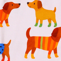 Dog wearing sweater pattern