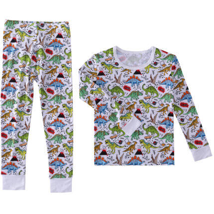 Dinosaur print two piece pajamas
